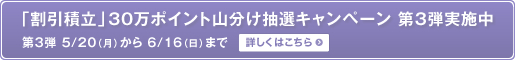 �u�����ϗ��v30���|�C���g�R�������I�L�����y�[��