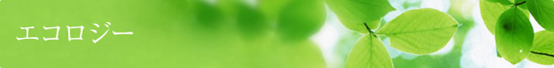 �G�R���W�[