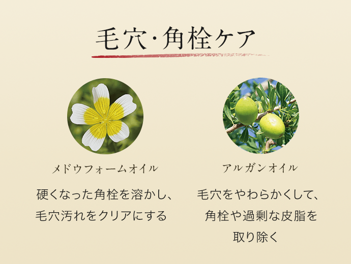 スキンクリア クレンズ オイル アロマタイプ リフレシングシトラスの