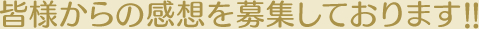 皆様からの感想を募集しております！！