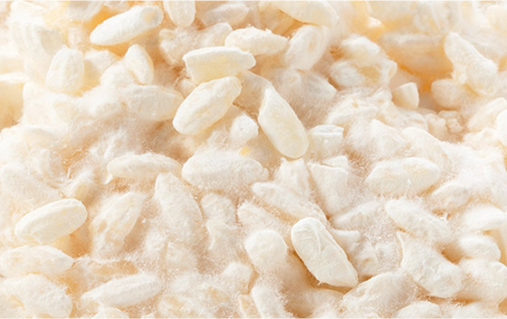 白麹発酵コラーゲン