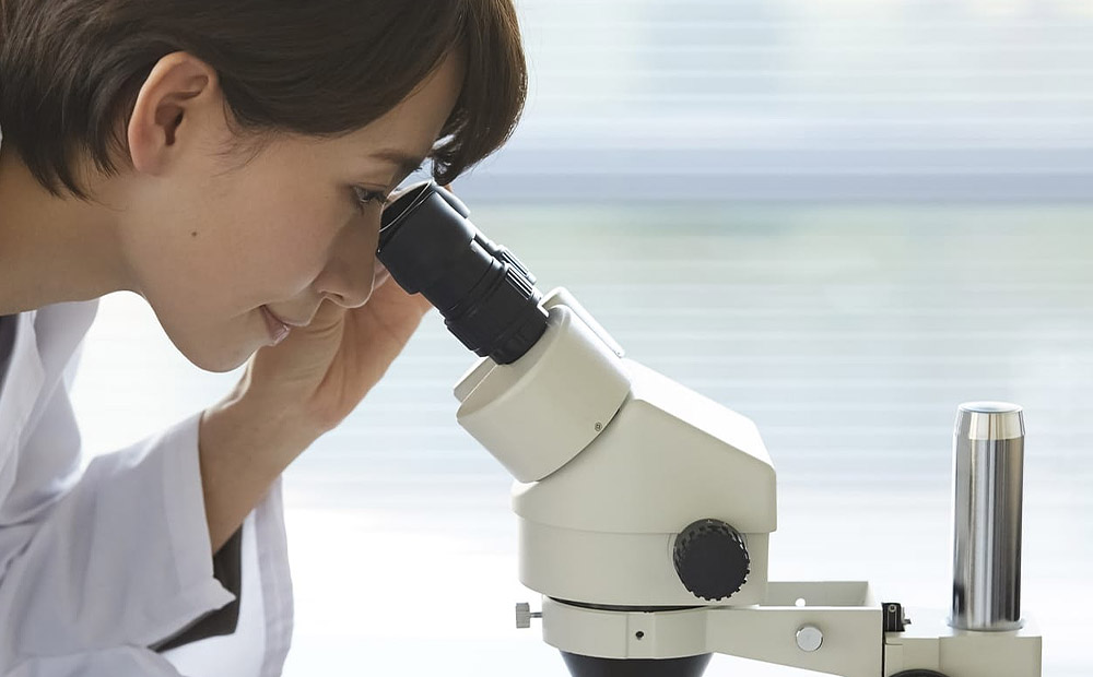 美しさを科学で解明する「研究所」