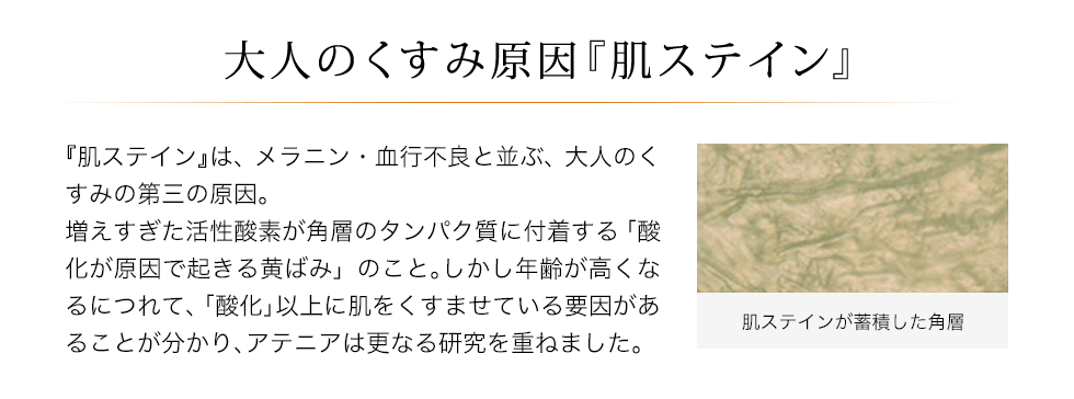 アテニアオンラインショップ 美肌化粧水 美容液などの通販 アテニアオンラインショップ 美肌化粧水 美容液などの通販
