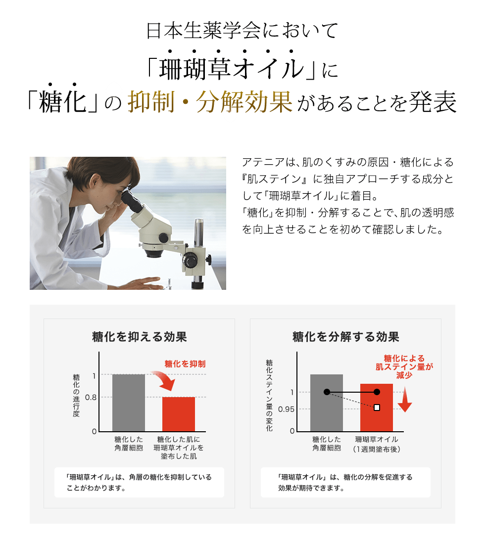 アテニアオンラインショップ 美肌化粧水 美容液などの通販