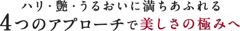 ハリ・艶・うるおいに満ちあふれる4つのアプローチで美しさの極みへ