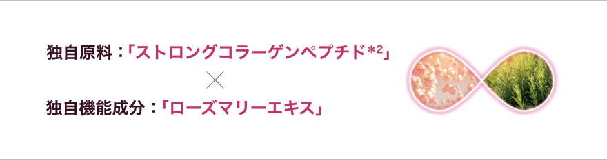 独自原料：「ストロングコラーゲンペプチド＊」×独自機能成分：「ローズマリーエキス」