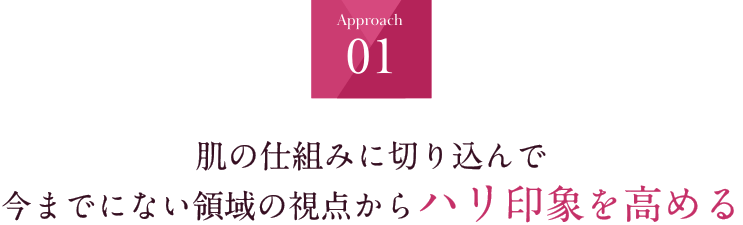 Approach01 肌の仕組みに切り込んで今までにない新領域の視点からハリ印象を高める