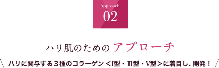 Approach02 ハリ肌のための新たなWアプローチ ハリに関与する３種のコラーゲン＜I型・Ⅲ型・V型＞に着目し、開発！