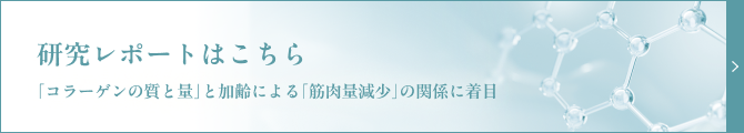 研究レポート