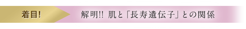 【新着目！】新たに解明!!肌と「長寿遺伝子」との関係