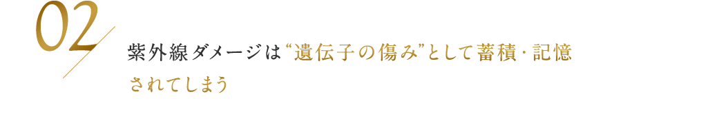 02 / 紫外線ダメージは“遺伝子の傷み”として蓄積・記憶されてしまう