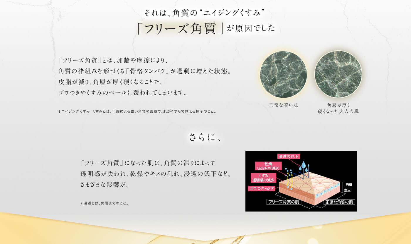 それは、角質の“エイジングくすみ”「フリーズ角質」が原因でした 「フリーズ角質」とは、加齢や摩擦により、角質の枠組みを形づくる「骨格タンパク」が過剰に増えた状態。皮脂が減り、角層が厚く硬くなることで、ゴワつきやくすみのベールに覆われてしまいます。さらに、「フリーズ角質」になった肌は、角質の滞りによって透明感が失われ、乾燥やキメの乱れ、浸透の低下など、さまざまな影響が。
