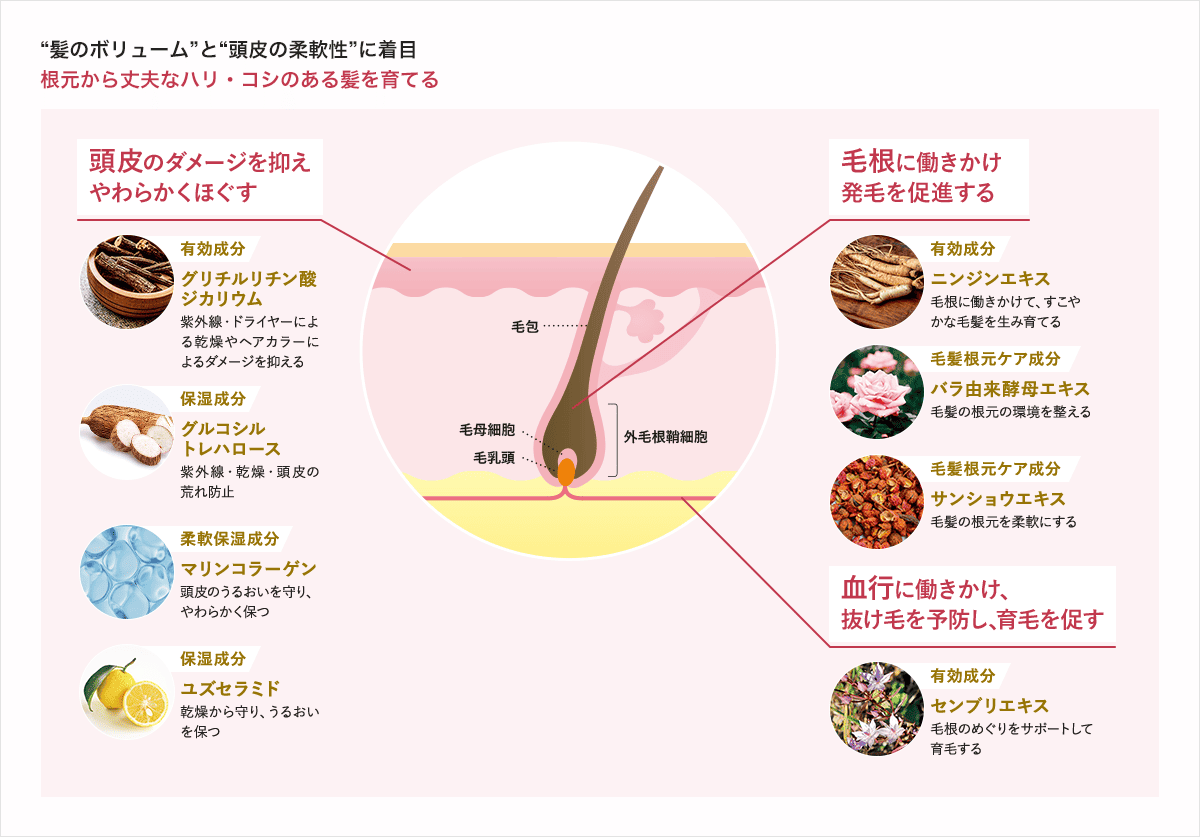 アテニア初！頭皮のスキンケアで美髪を育てる、薬用育毛美容液が誕生。