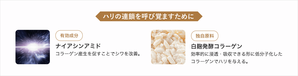 ハリも、うるおいも、極みの領域へ！『ウインタースター セレクション』