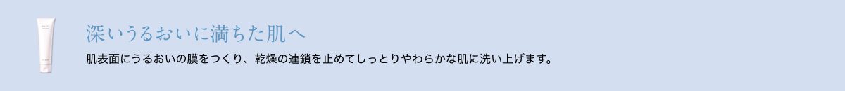 深いうるおいに満ちた肌へ 肌表面にうるおいの膜をつくり、乾燥の連鎖を止めてしっとりやわらかな肌に洗い上げます。