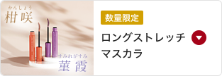 数量限定 ロングストレッチマスカラ
