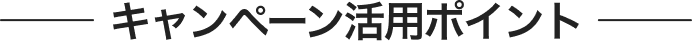 キャンペーン活用ポイント