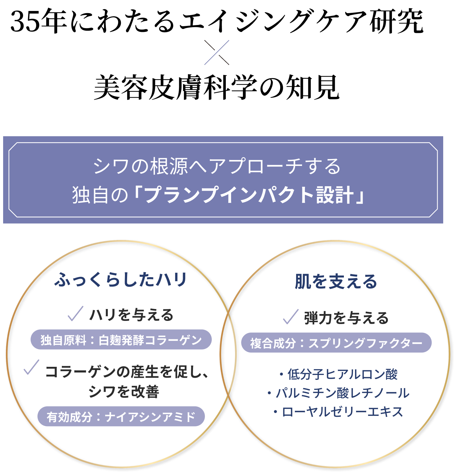 “35年にわたるエイジングケア研究X美容皮膚科学の知見
