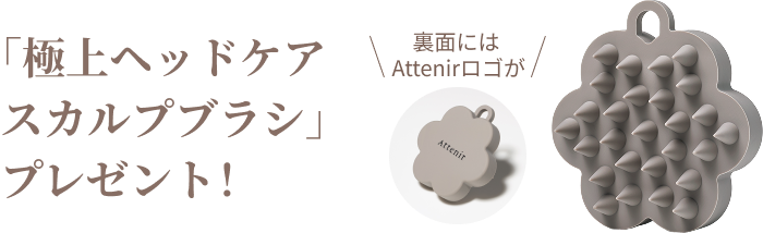 「極上ヘッドケアスカルプブラシ」プレゼント！ 裏面にはAttenirロゴが
