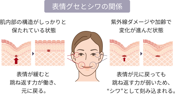 なぜ年齢とともにシワが深くなるのか。まるで“折り紙”のように刻まれていく、そのシワと弾力の関係に着目！