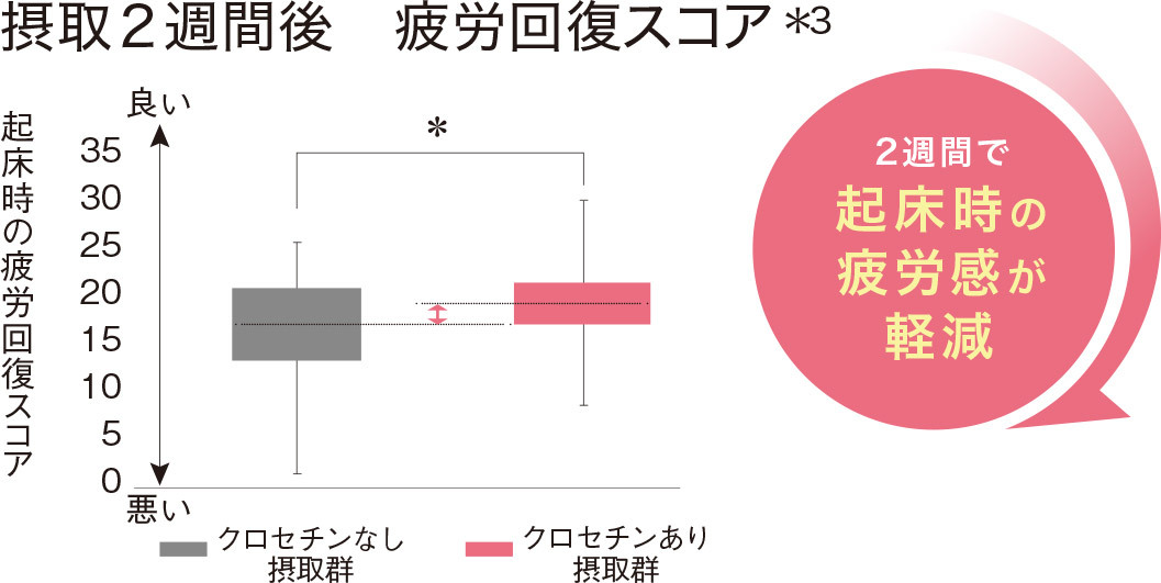 摂取2週間後、疲労回復スコア