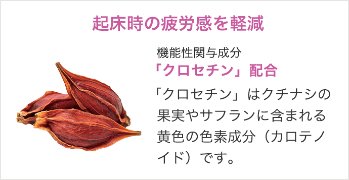 健やかな一年のスタートに！おすすめのサプリメントをご紹介します