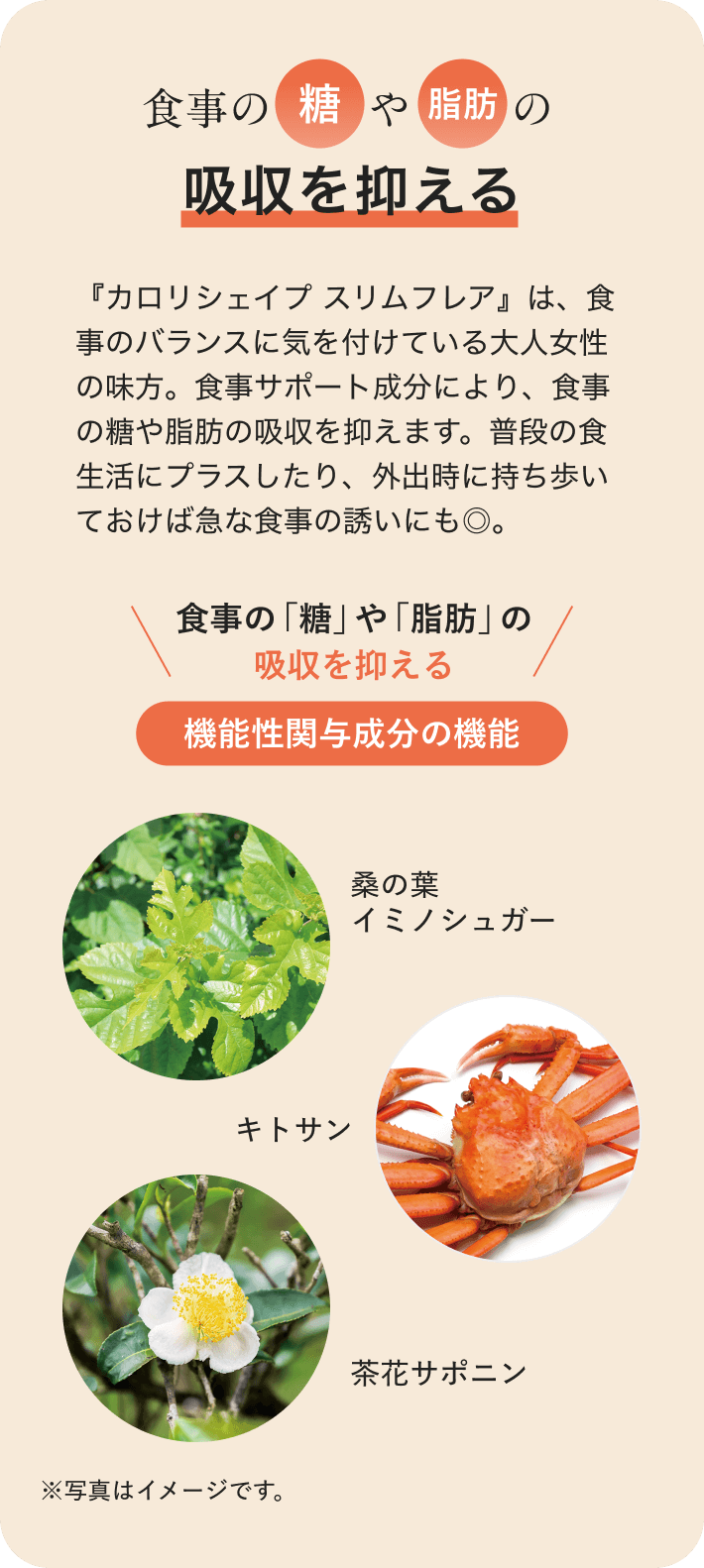 食事の糖や脂肪の吸収を抑える