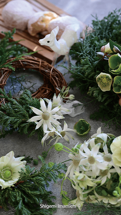 壁紙ダウンロード アテニア公式オンラインショップ