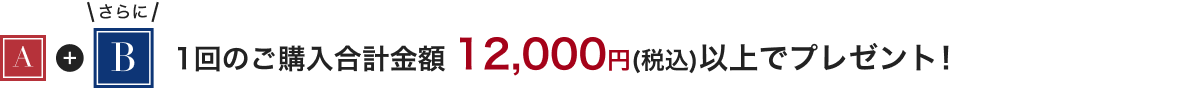 A+さらに/B1回のご購入合計金額12,000円(税込)以上でプレゼント!