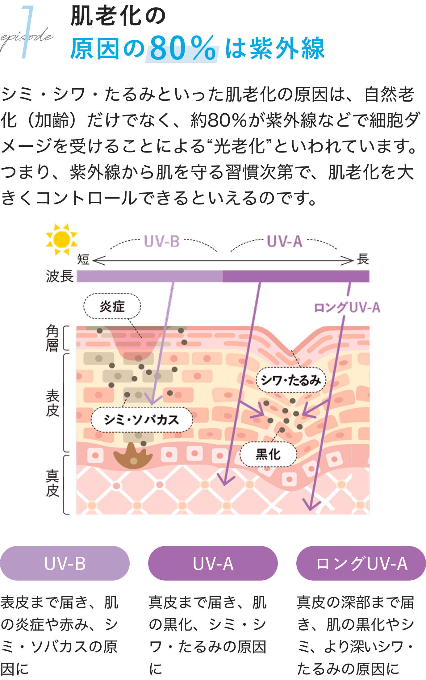 1.episode肌老化の原因の80%は紫外線