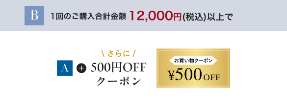B1回のご購入合計金額 12,000円(税込)以上で A\さらに/500円OFFクーポンお買い物クーポン¥500 OFF