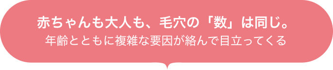 赤ちゃんも大人も、毛穴の「数」は同じ。 年齢とともに複雑な要因が絡んで目立ってくる