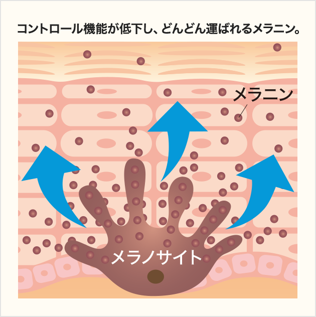 ホワイトジェネシス｜透明肌へ導く美容液｜アテニア公式オンラインショップ