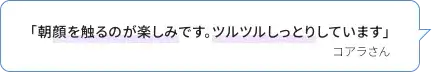 「朝顔を触るのが楽しみです。ツルツルしっとりしています」 コアラさん