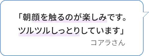 「朝顔を触るのが楽しみです。ツルツルしっとりしています」 コアラさん