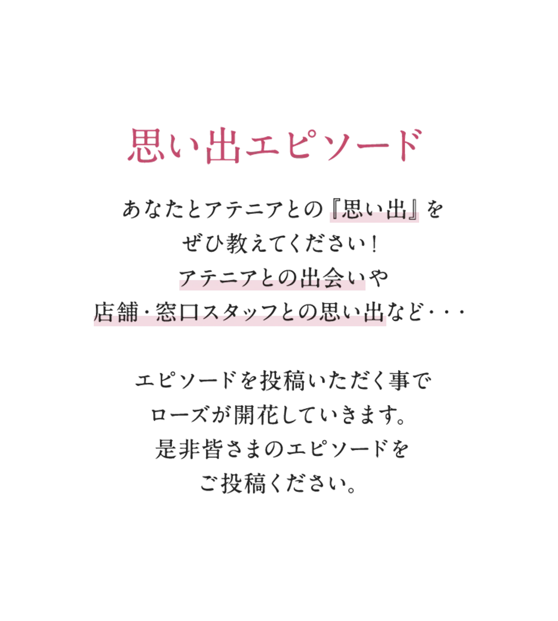 思い出エピソード