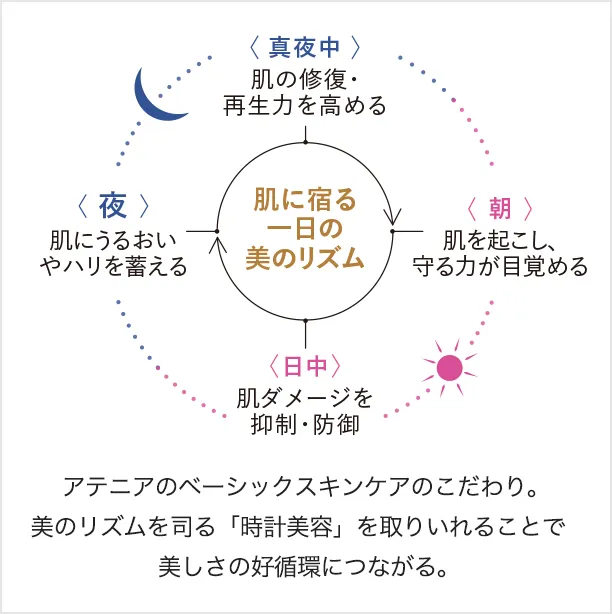 アテニアのベーシックスキンケアのこだわり。美のリズムを司る「時計美容」を取りいれることで美しさの好循環につながる。