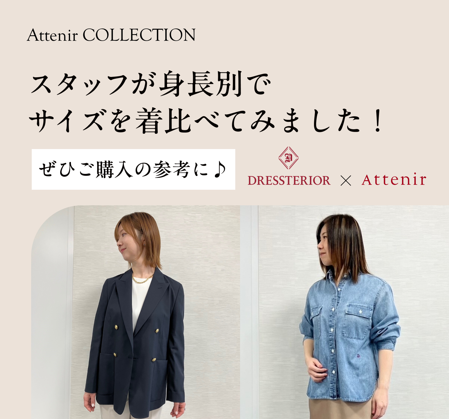 ドレステリア身長別サイズガイド｜アテニア公式オンラインショップ