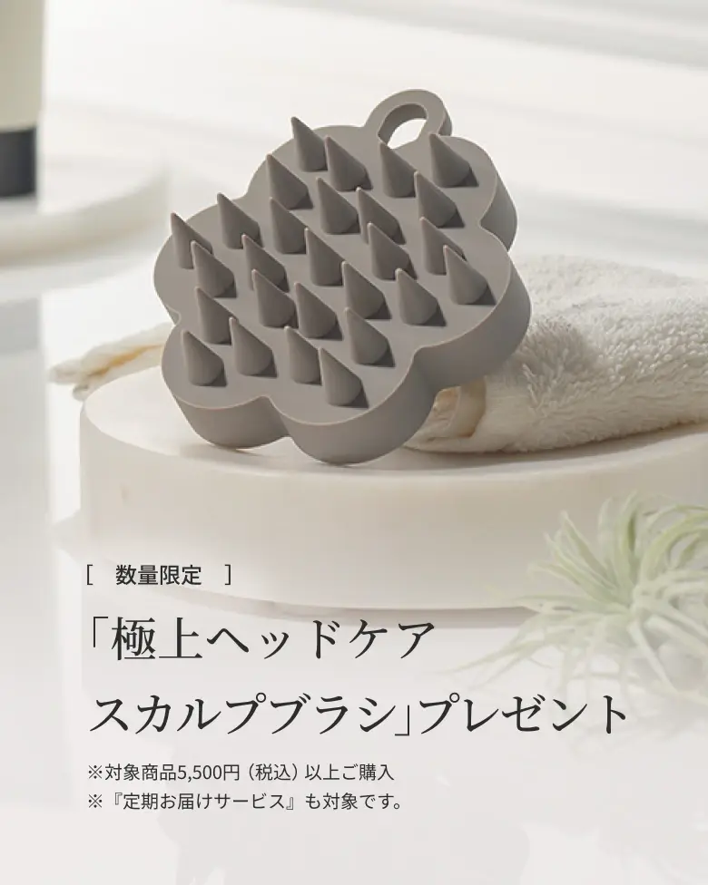 「極上ヘッドケアスカルプブラシ」プレゼント