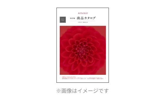 情報誌「Attenir」発送