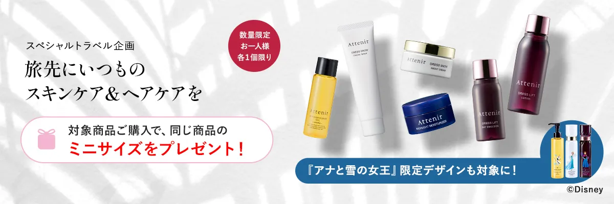 数量限定 ミニサイズプレゼント