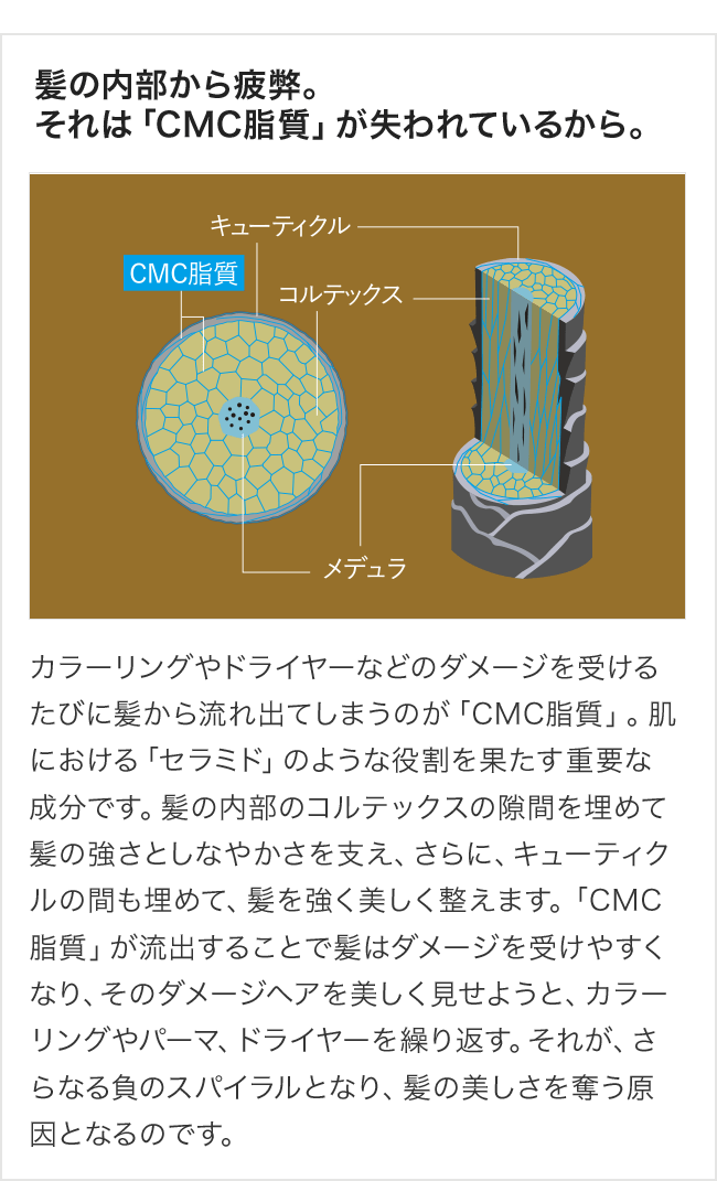 サロンプレミアム トリートメント| アテニア公式オンラインショップ | 商品詳細