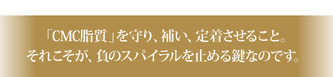 サロンプレミアム シャンプー レフィル（詰替用）| アテニア公式オンラインショップ | 商品詳細