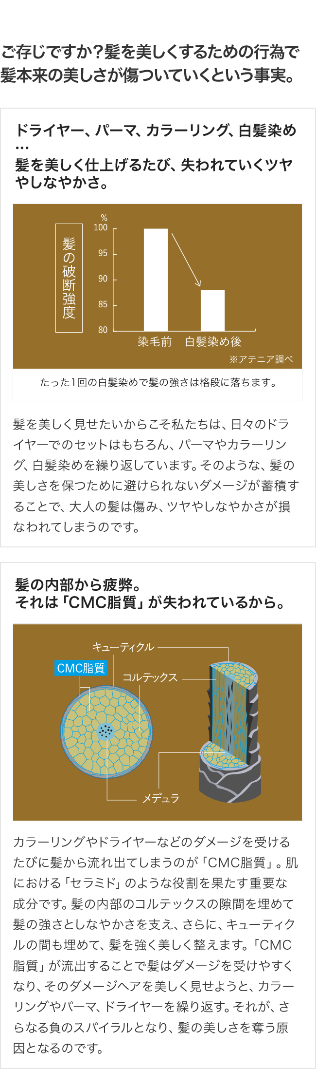 旧 サロンプレミアム スリークヘアオイル アテニアオンラインショップ 美肌化粧水 美容液などの通販