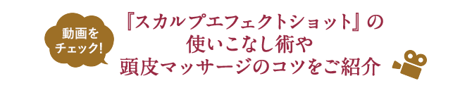 商品特長