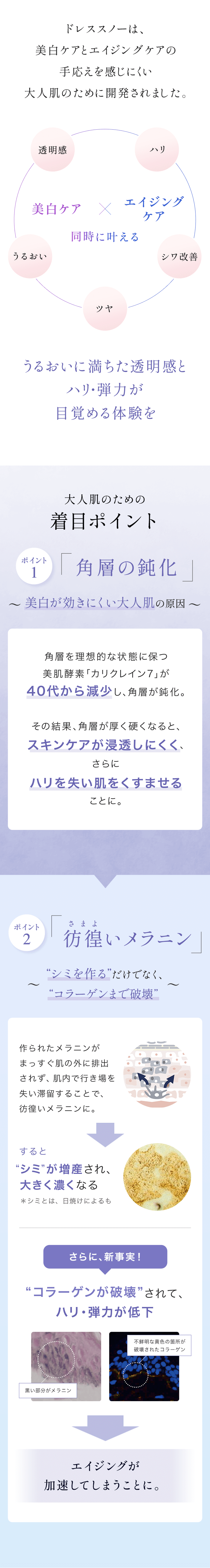 ドレススノー デイエマルジョン 〈つめかえ用〉［販売名：アテニア