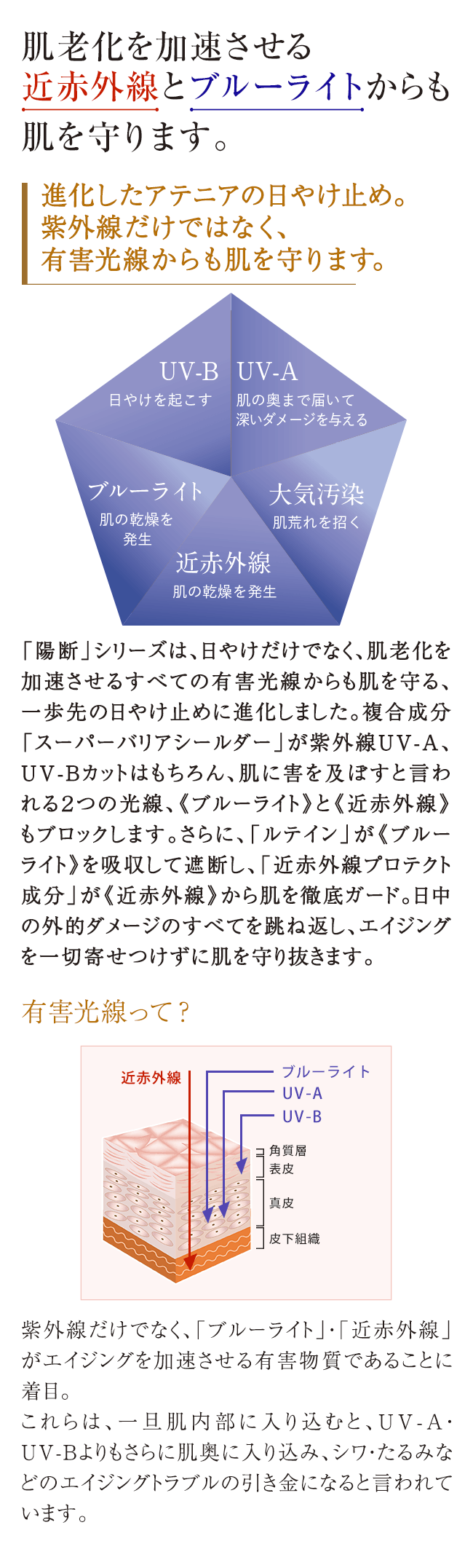 陽断 ひだん Uv50 フェイスプロテクトクリーム アテニアオンラインショップ 美肌化粧水 美容液などの通販 陽断 ひだん Uv50 フェイスプロテクトクリーム アテニアオンラインショップ 美肌化粧水 美容液などの通販