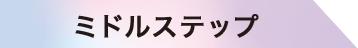 ミドルステップ