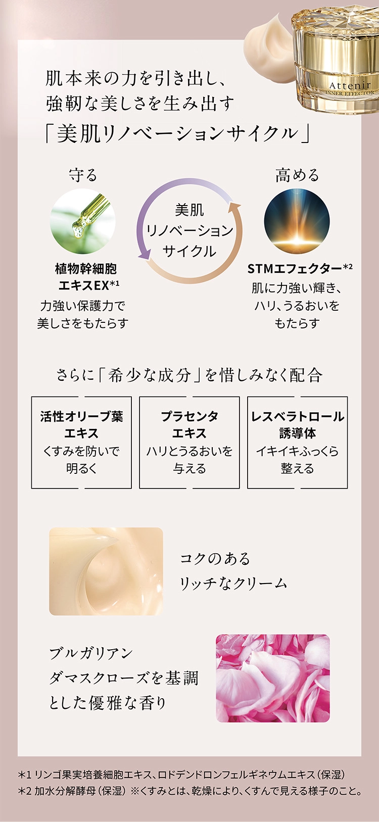数量限定ハーフサイズ インナーエフェクター トライアル特別価格20%OFF