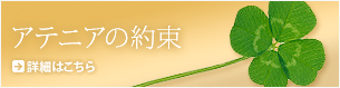 アテニアの約束